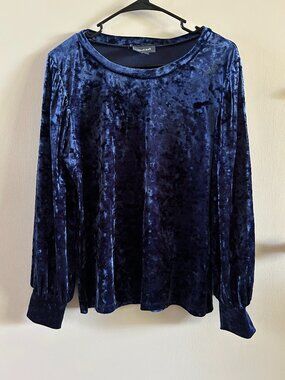 Glamorous blue crushed velvet balloon sleeve top